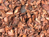 Cascarilla de cacao