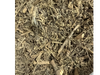 Ajenjo paraguayo