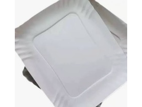 Bandeja de carton N°2