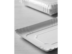 Bandeja de carton N°4