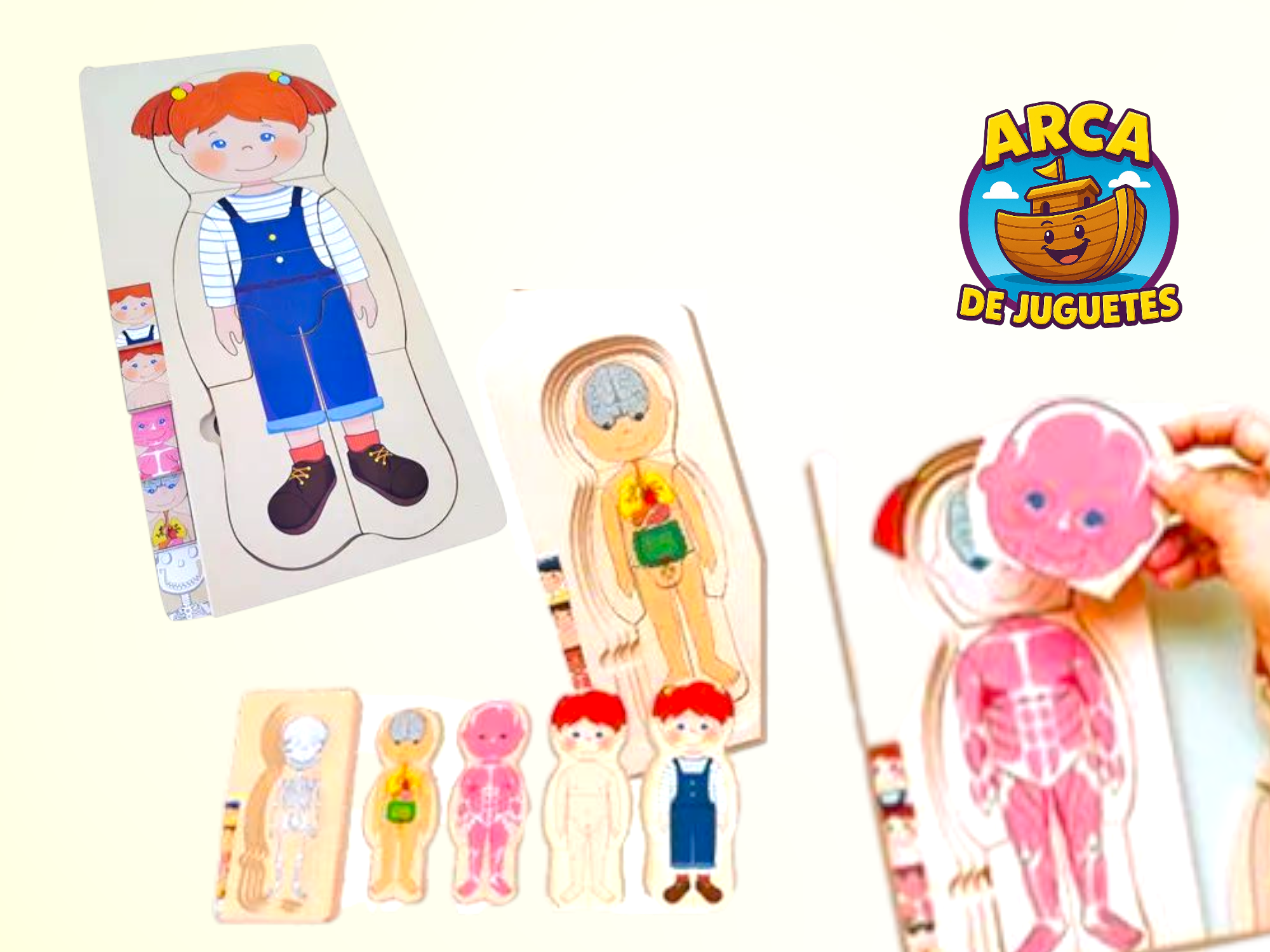 Rompecabezas cuerpo humano