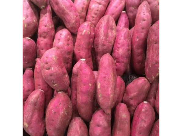 BATATA