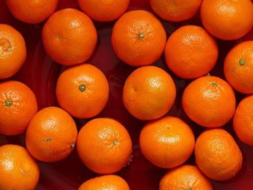 Mandarina Dancy