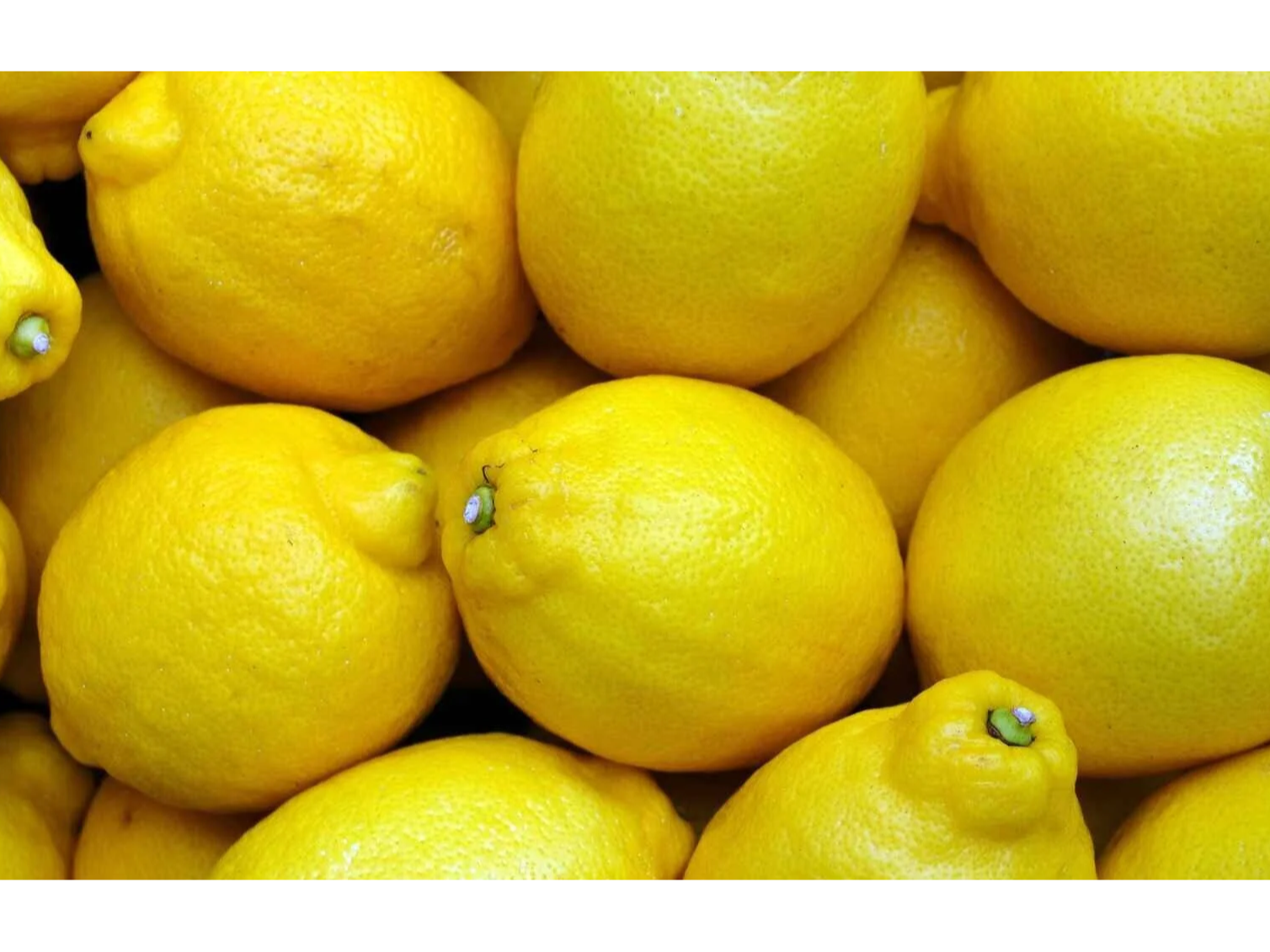 Limón