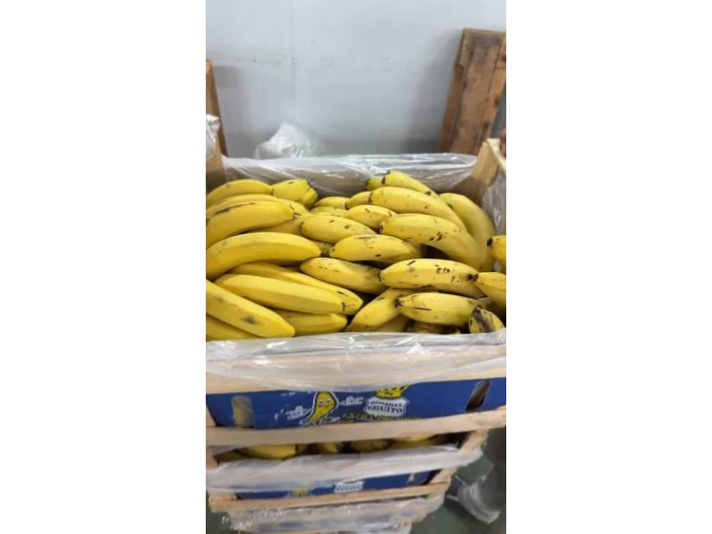 Banana paraguaya