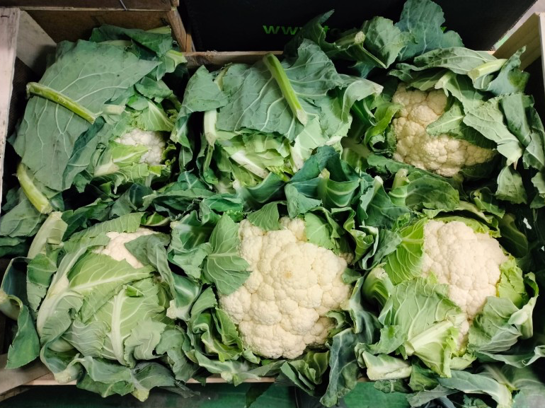 Coliflor