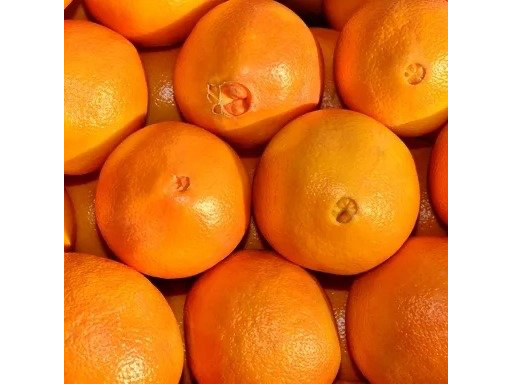 Naranja ombligo