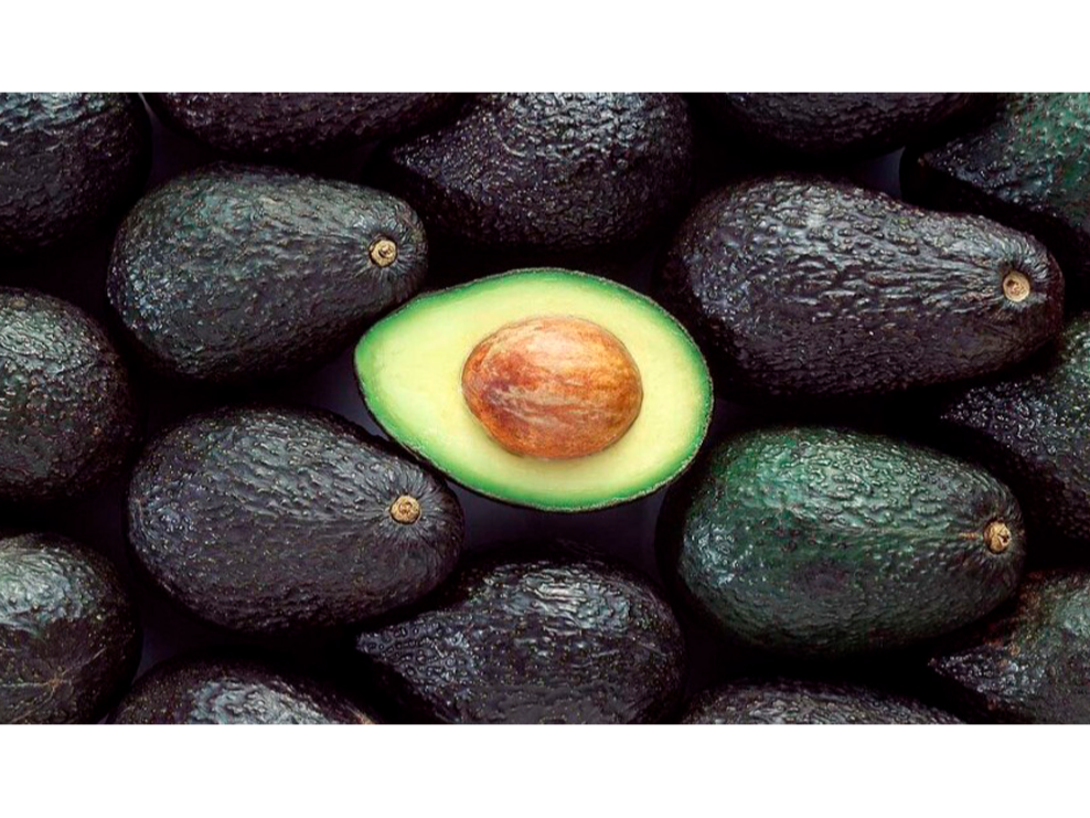 Palta