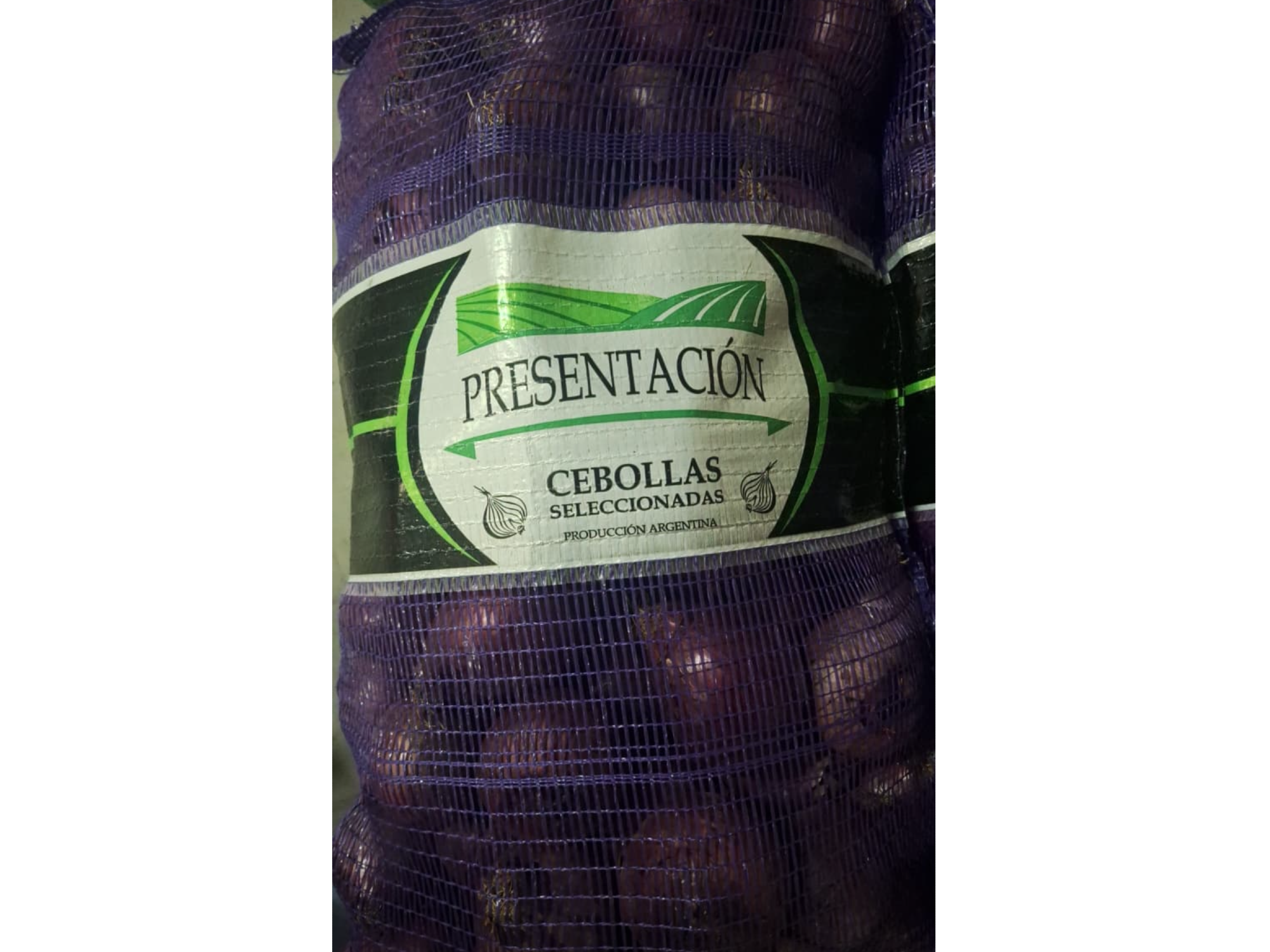 CEBOLLA MORADA