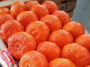 Mandarina Encore