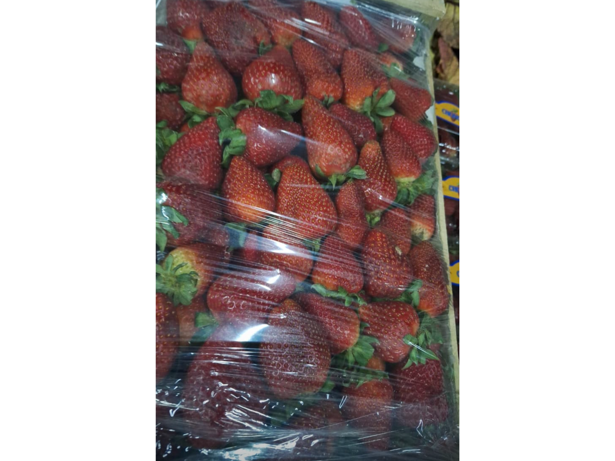 Frutilla a granel