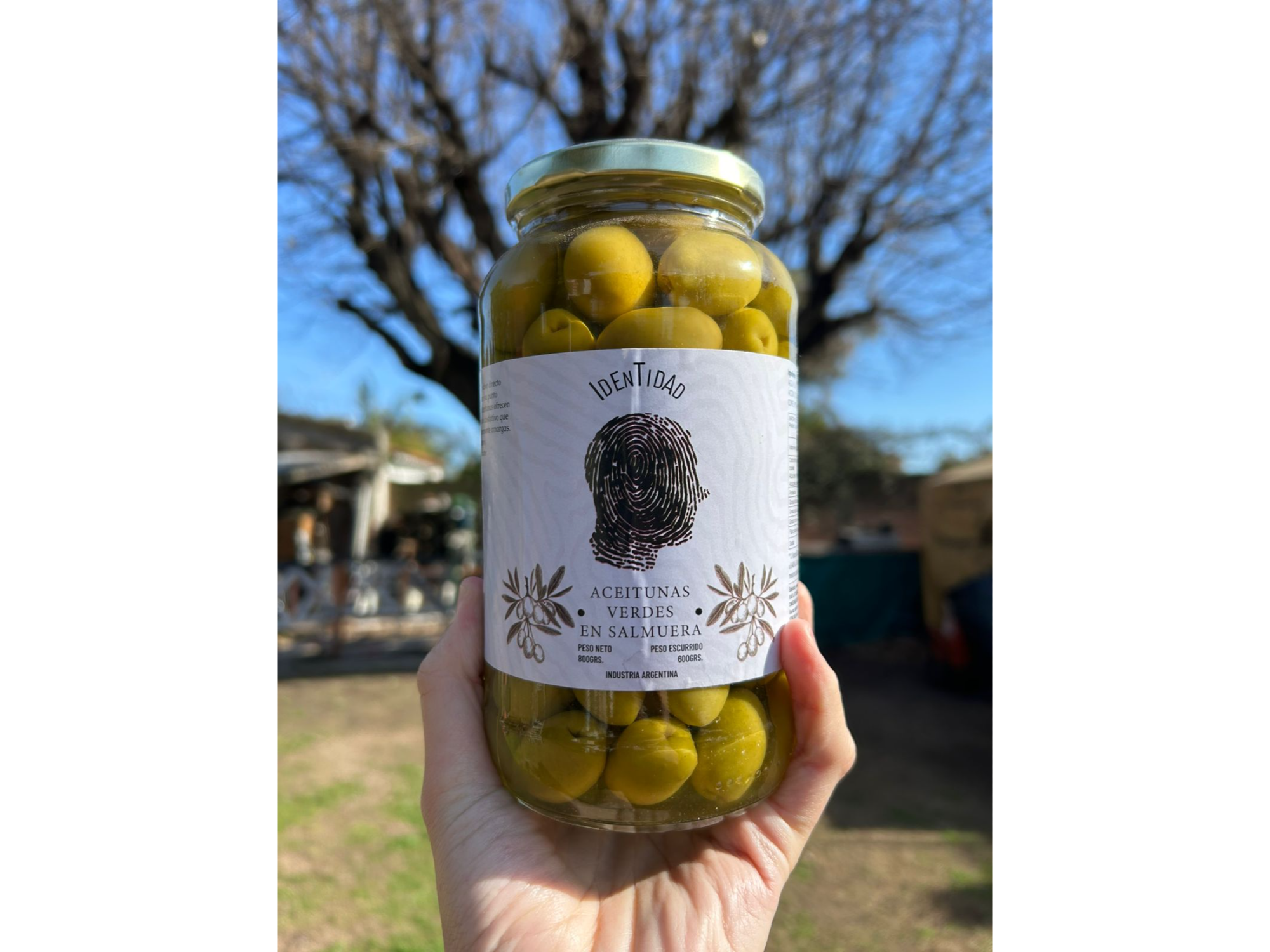 Aceitunas 800grs.