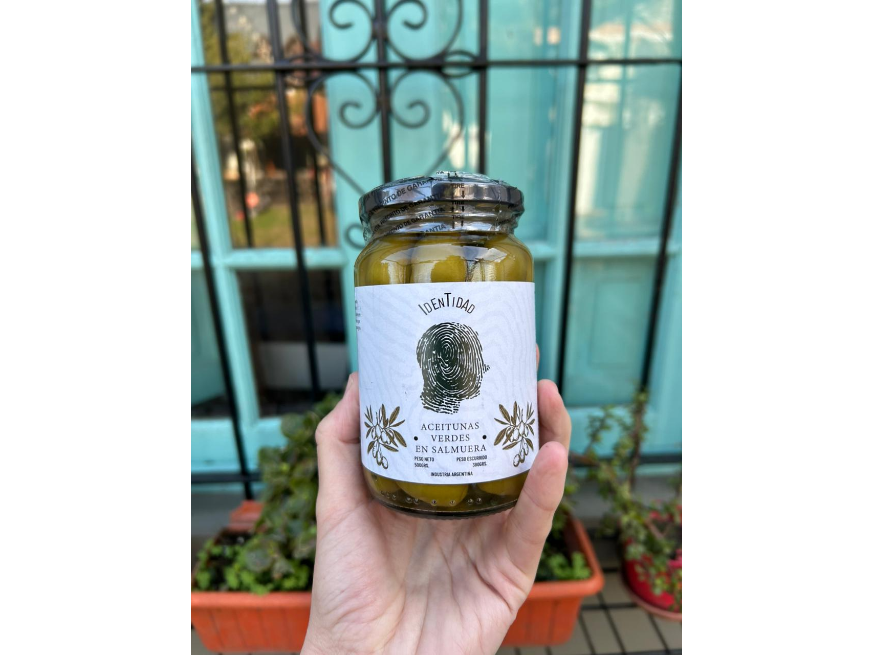 Aceitunas 500 grs.