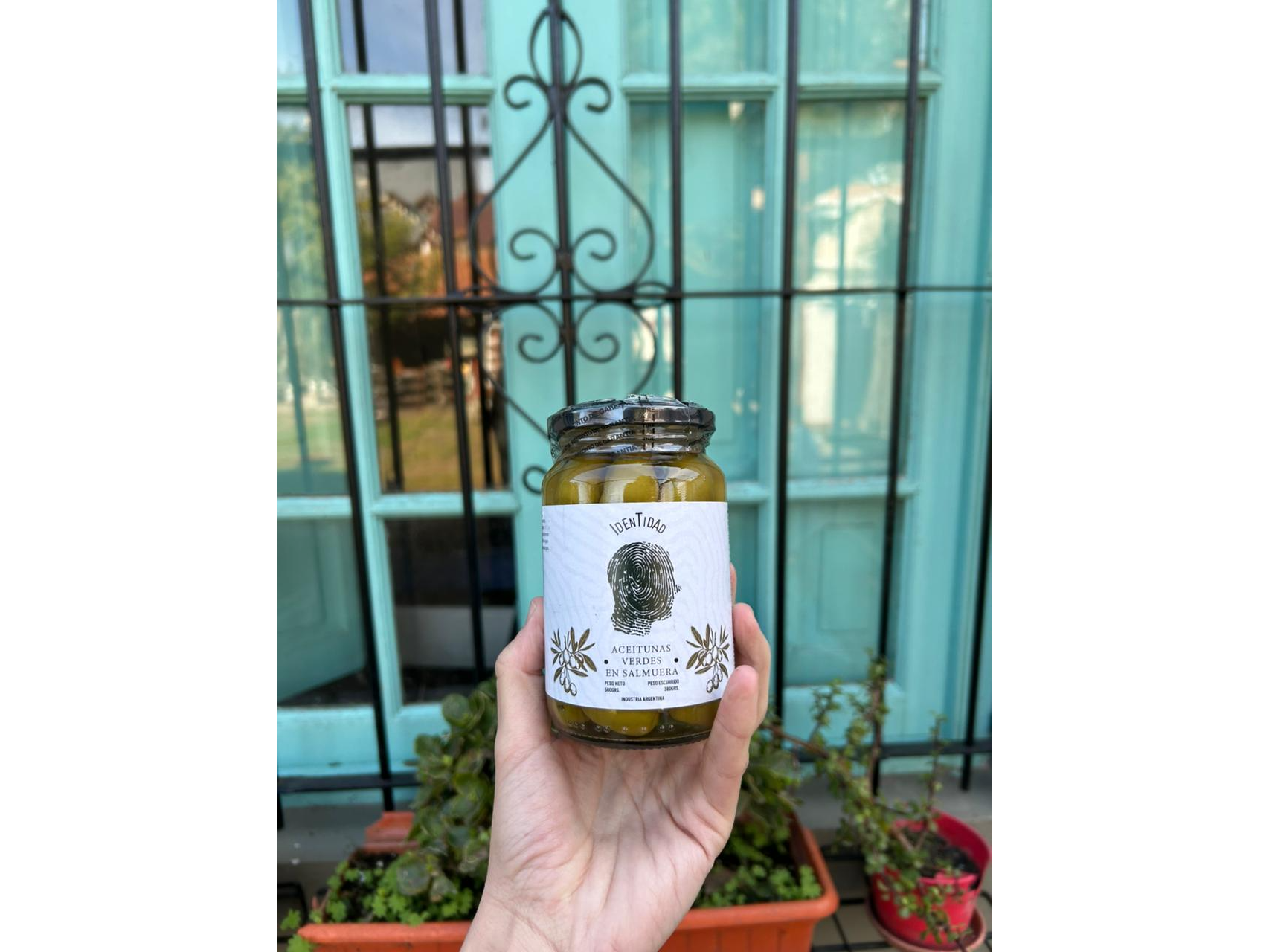 Aceitunas 500 gr