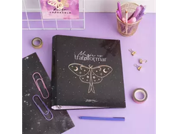 Carpeta 3 anillos N°3 - Transformar