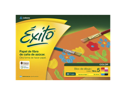 BLOCK DIBUJO EXITO N5 COLOR X24HJ