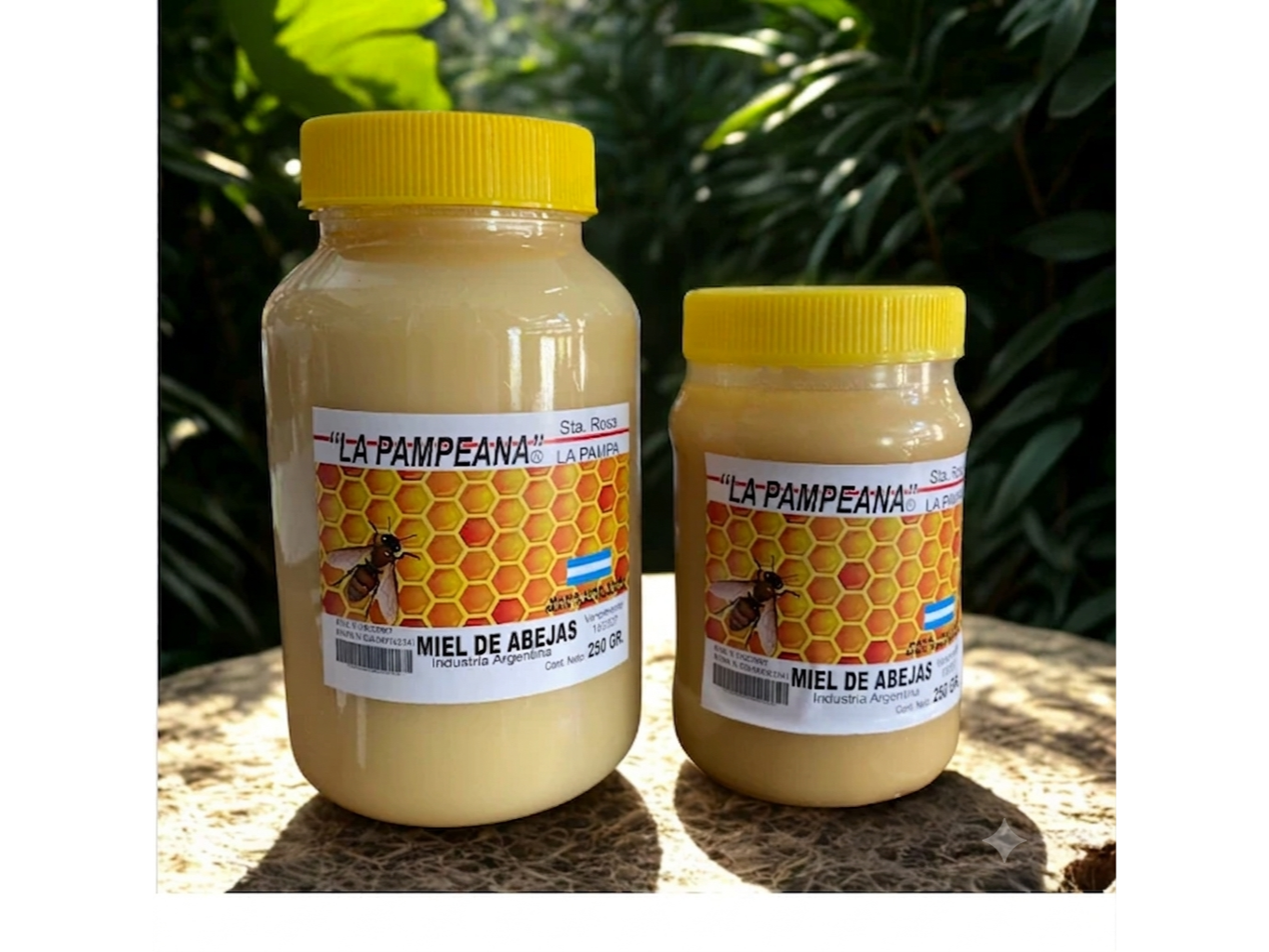 Miel LA PAMPEANA 250gr