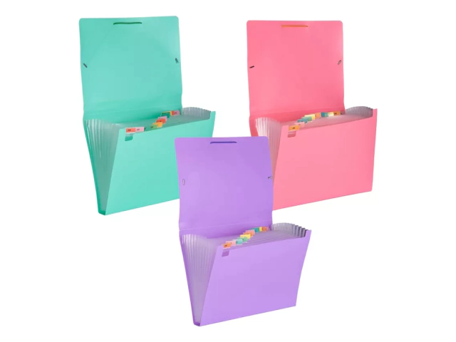 CLASIFICADOR LAMA A4 12 DIVISIONES COLOR PASTEL
