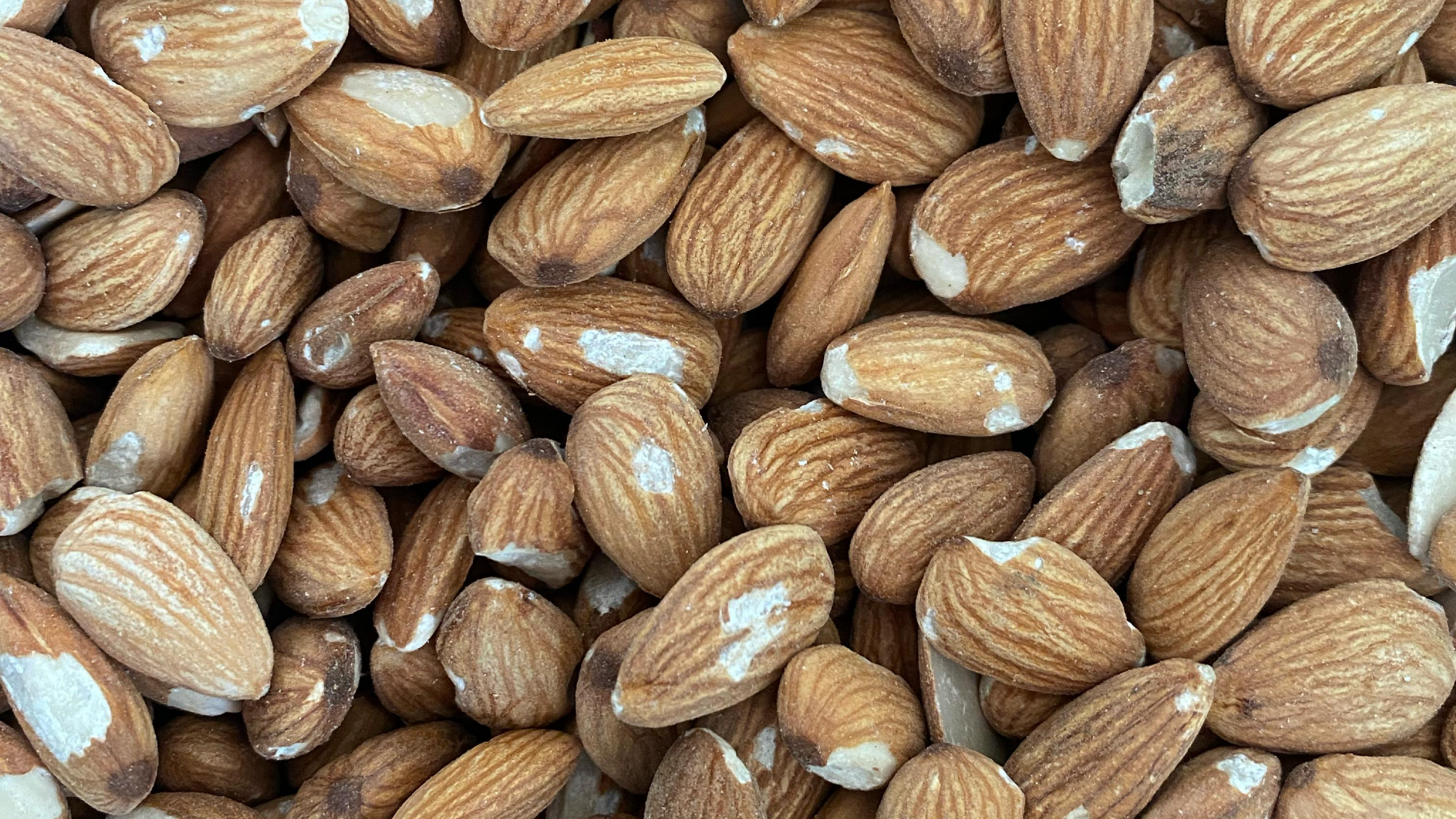 Frutos Secos