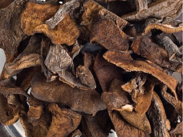Hongos de pino deshidratados