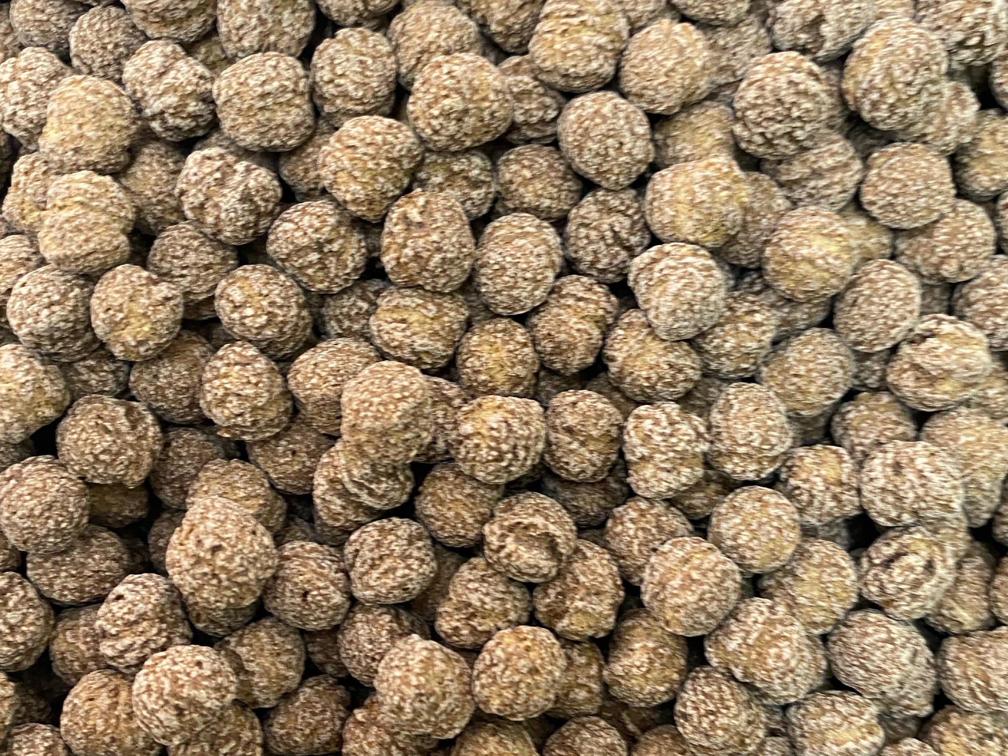 Bolitas de chocolate