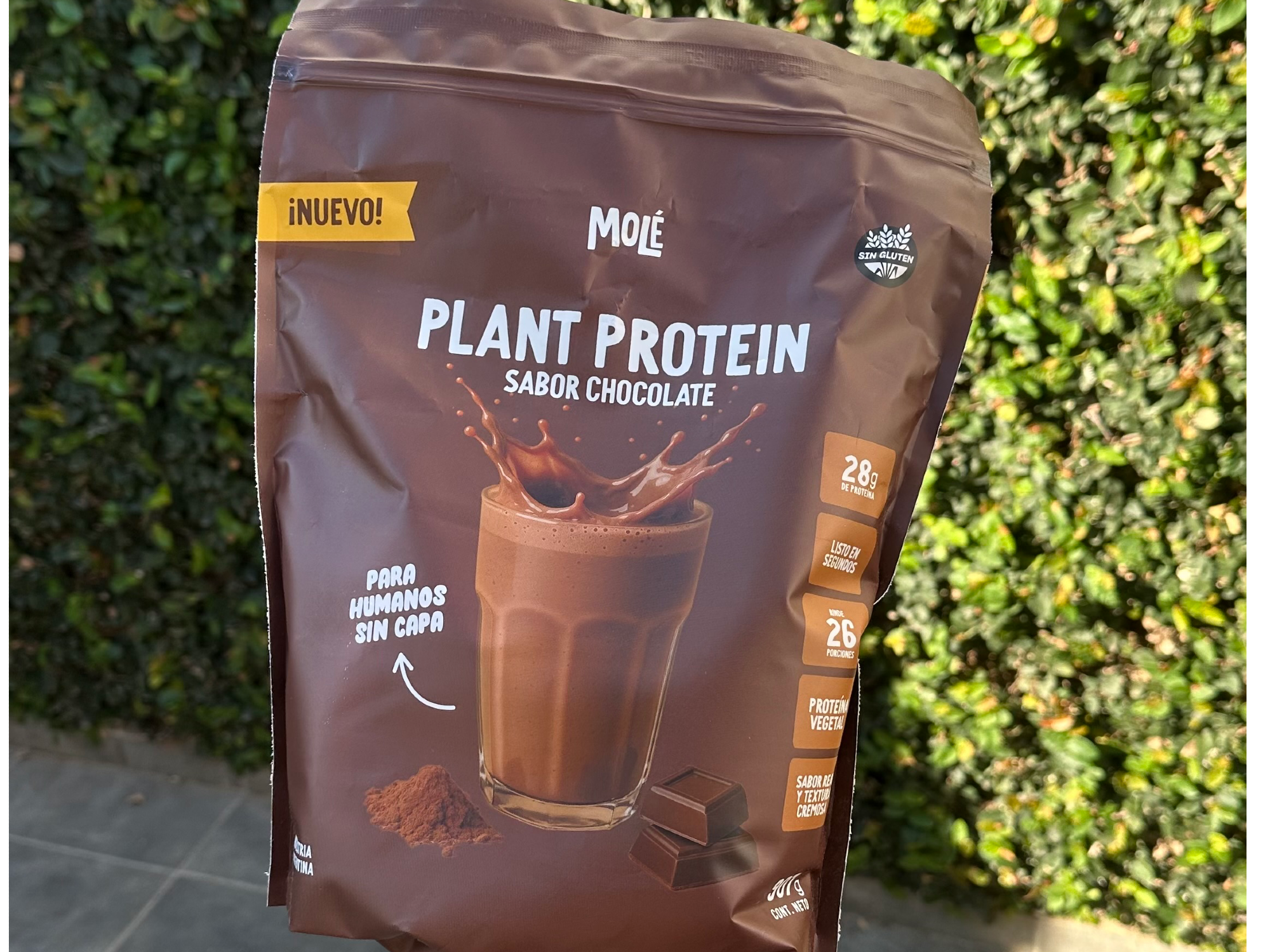 Plant protein chocolate