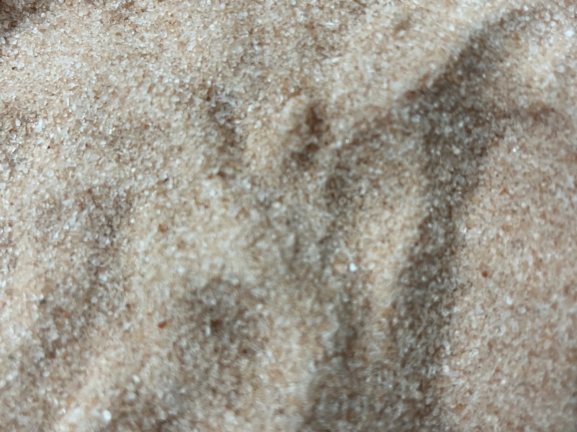 Sal rosada del Himalaya