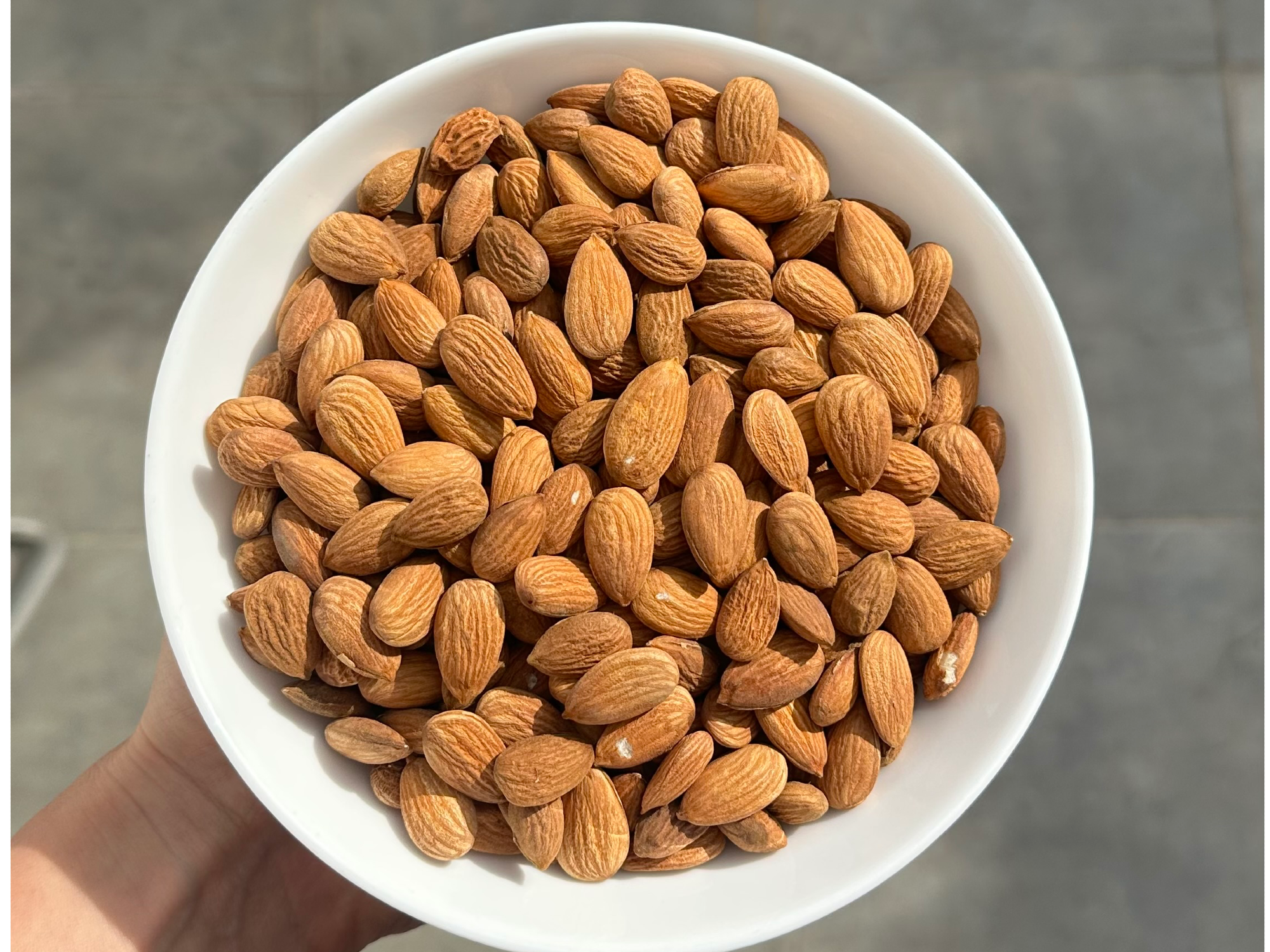 Almendra non pareil