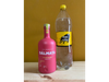 GIN CITRUS DALMATA X TONICA 1,5