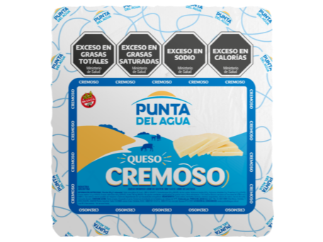 PUNTA DE AGUA QUESO FRESCO