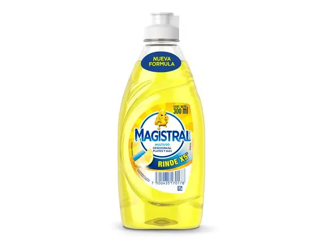 MAGISTRAL DET X300