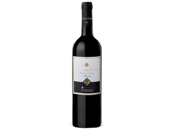 Clos des Andes Malbec 2016