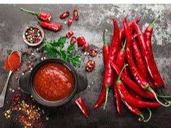 Ketchup Picante