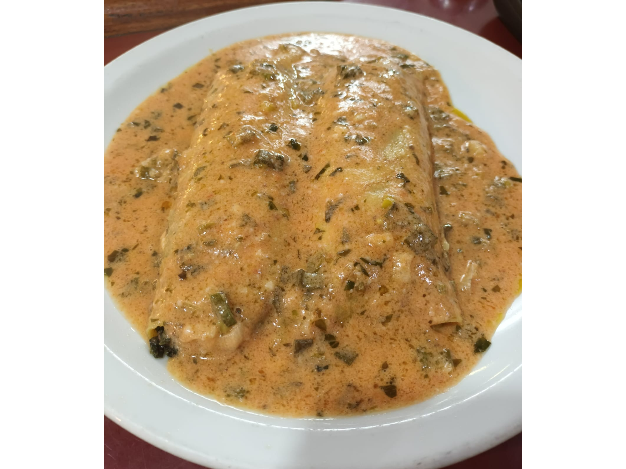 Canelones de Carne y  Verdura