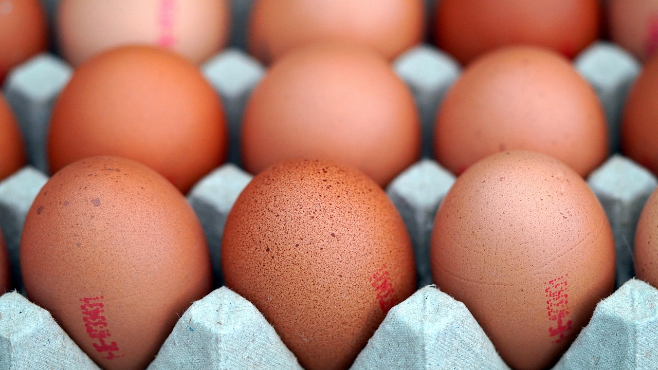 HUEVOS