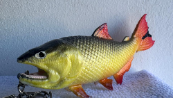Logo Pescadería CTS