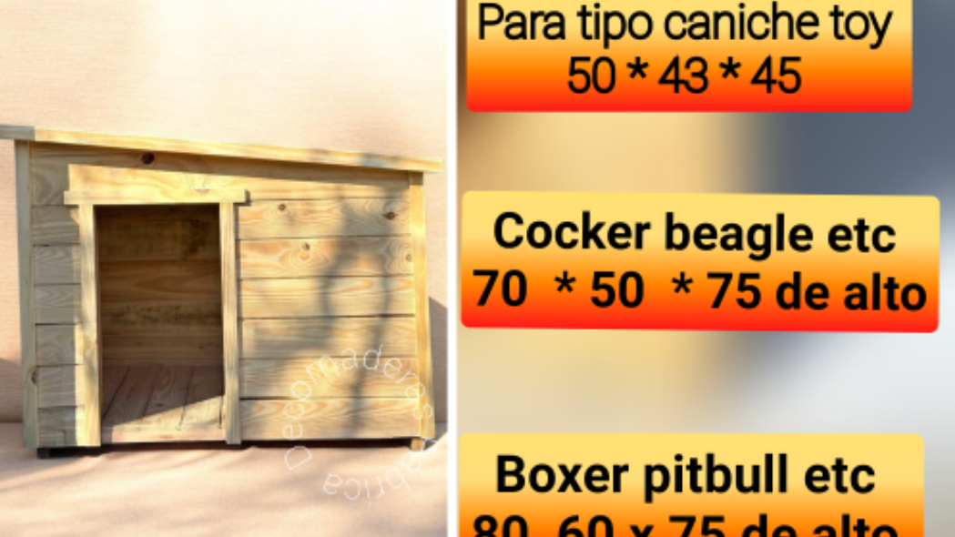 Casita perros gatos