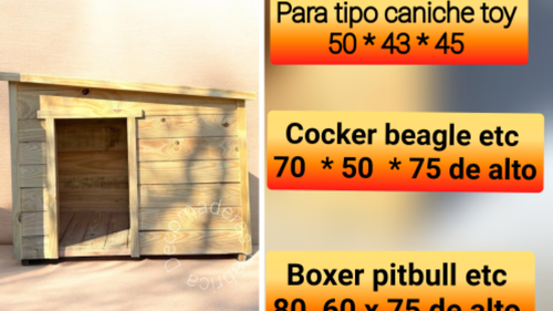Casita perros gatos
