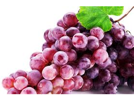 Uvas