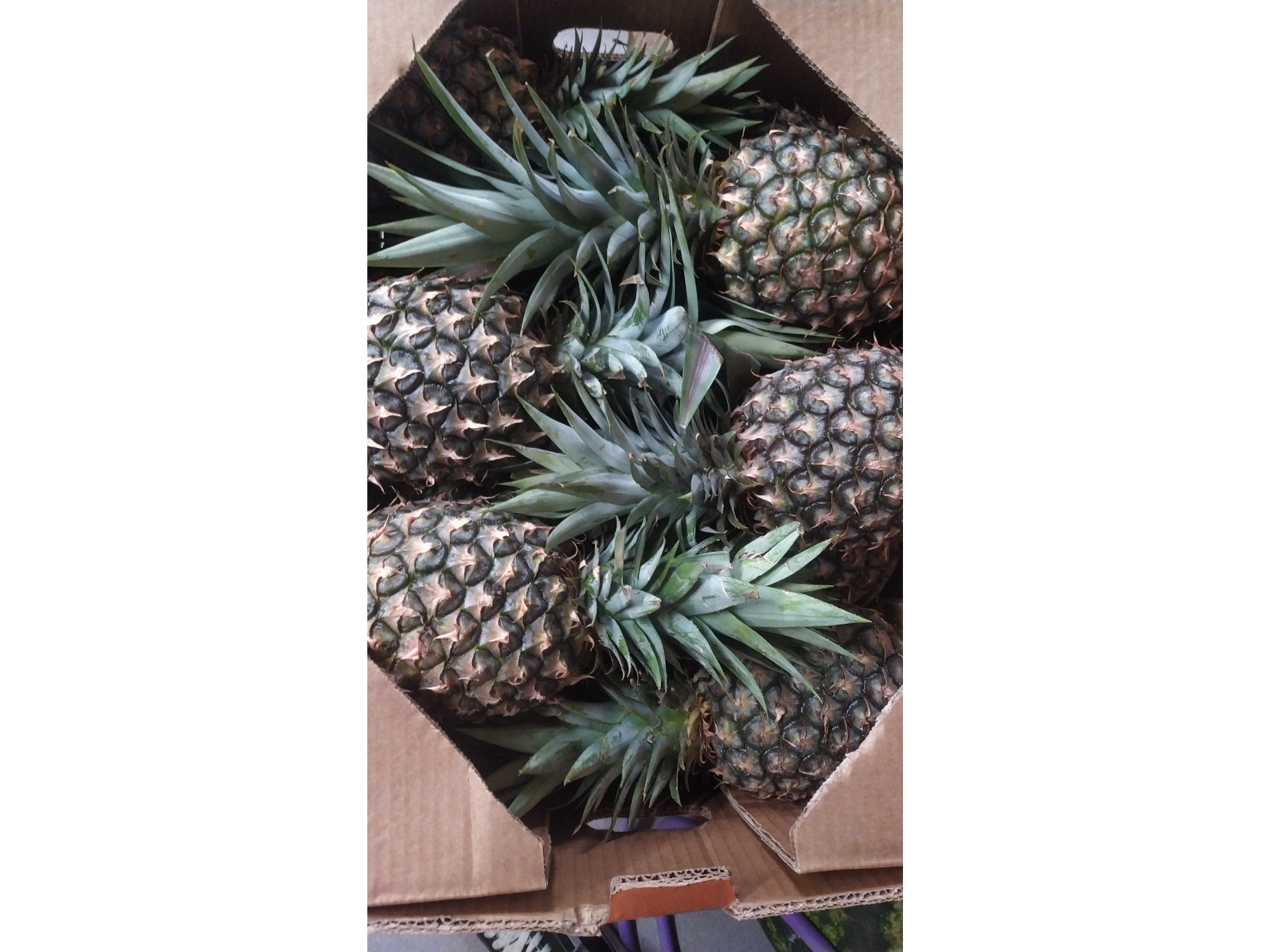 Piña