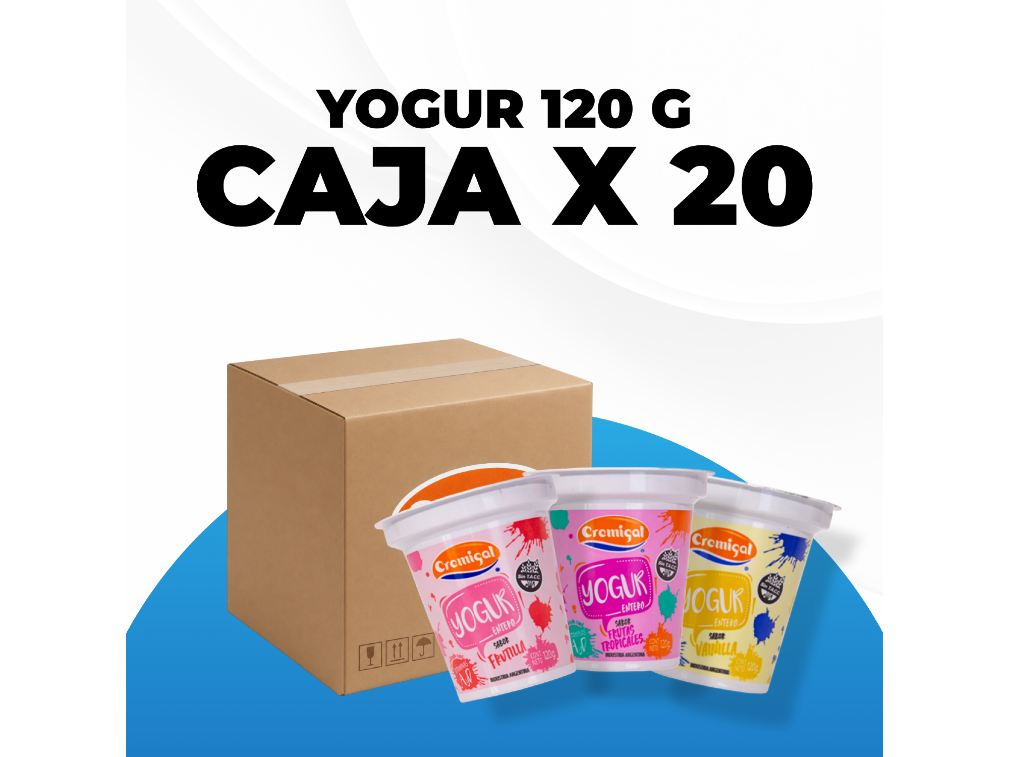 YOGUR VASITO 120GRS.