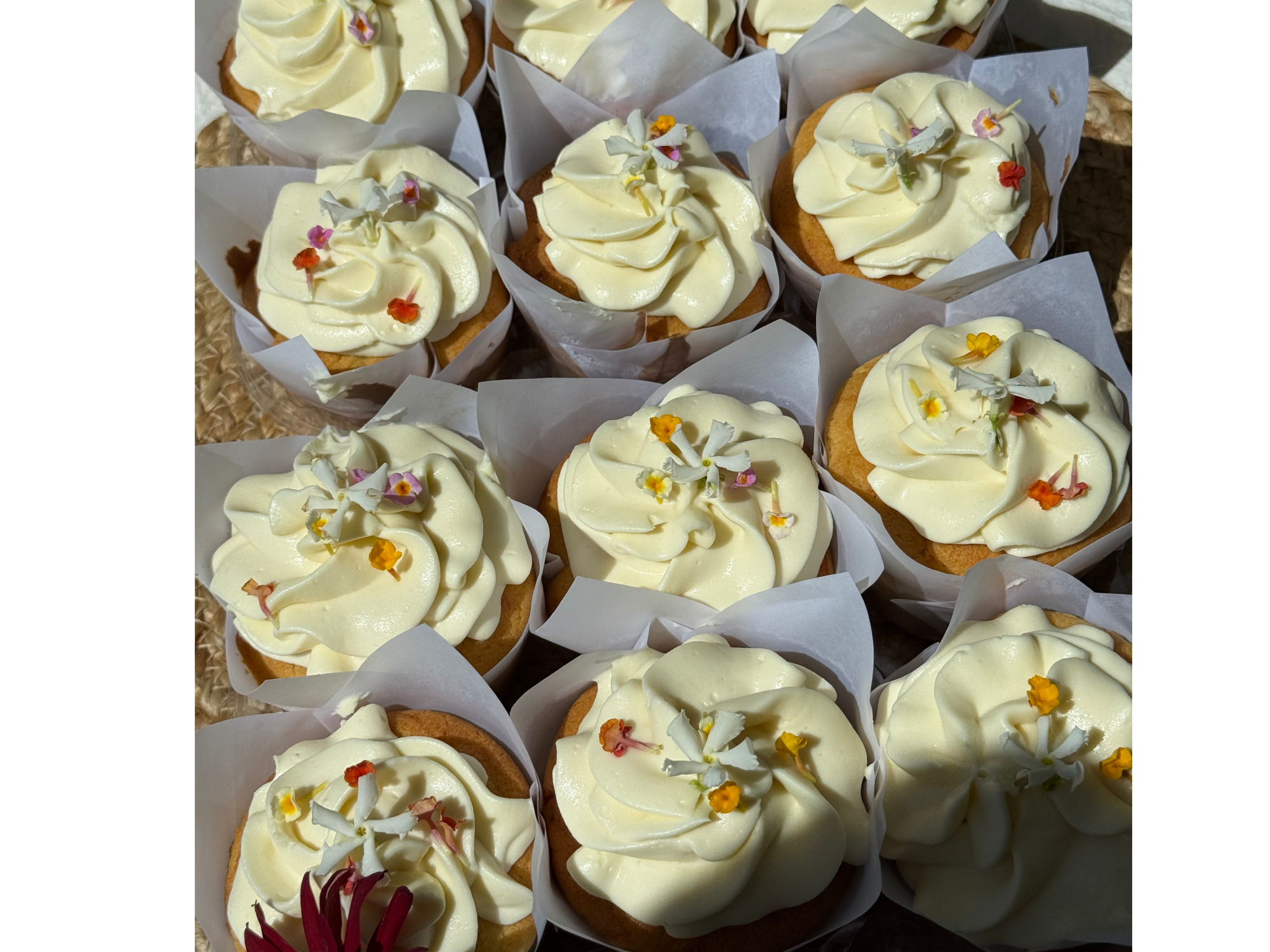 MUFFINS CARROT CAKE X3