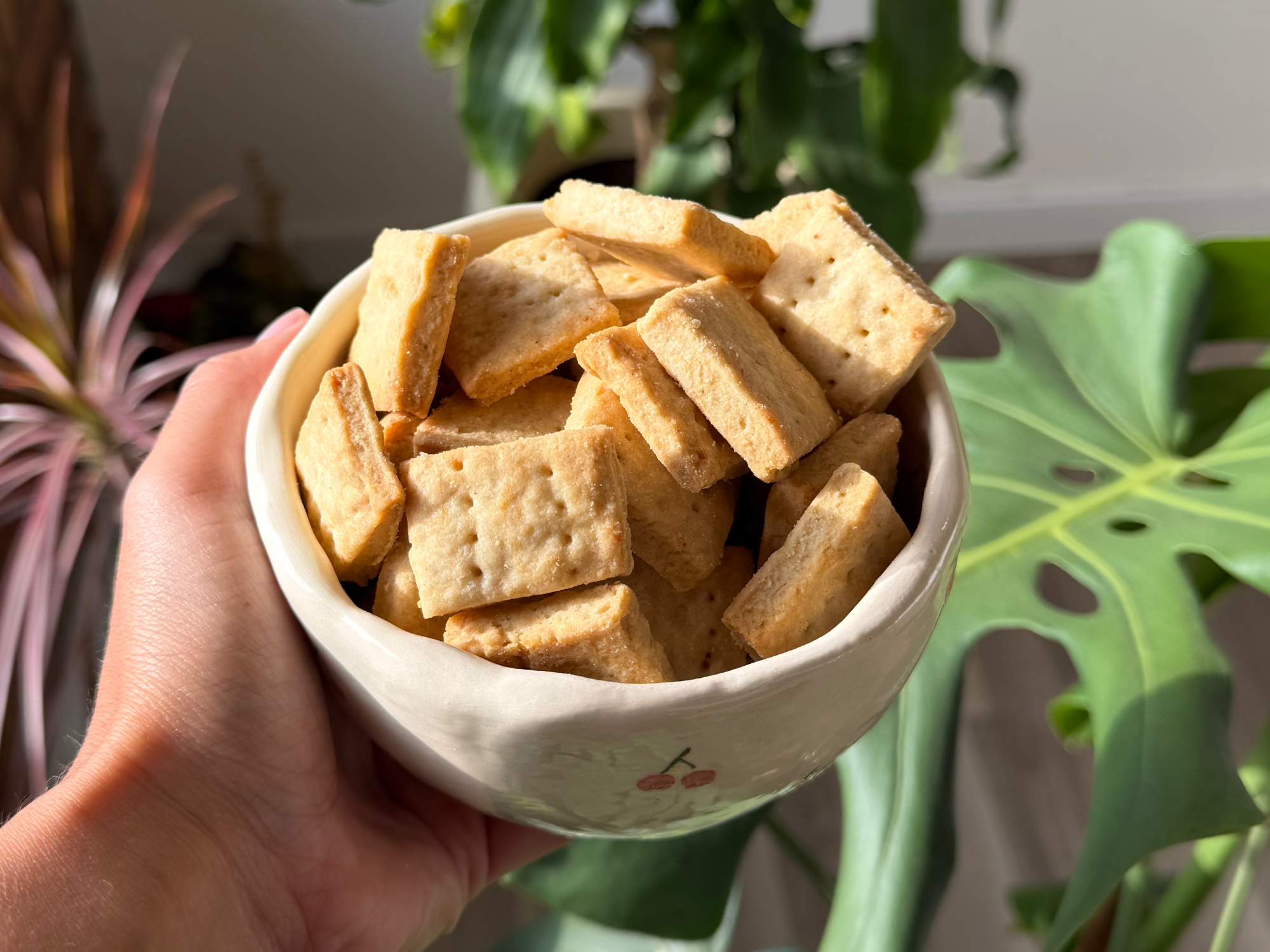 MATERITOS LOWCARB