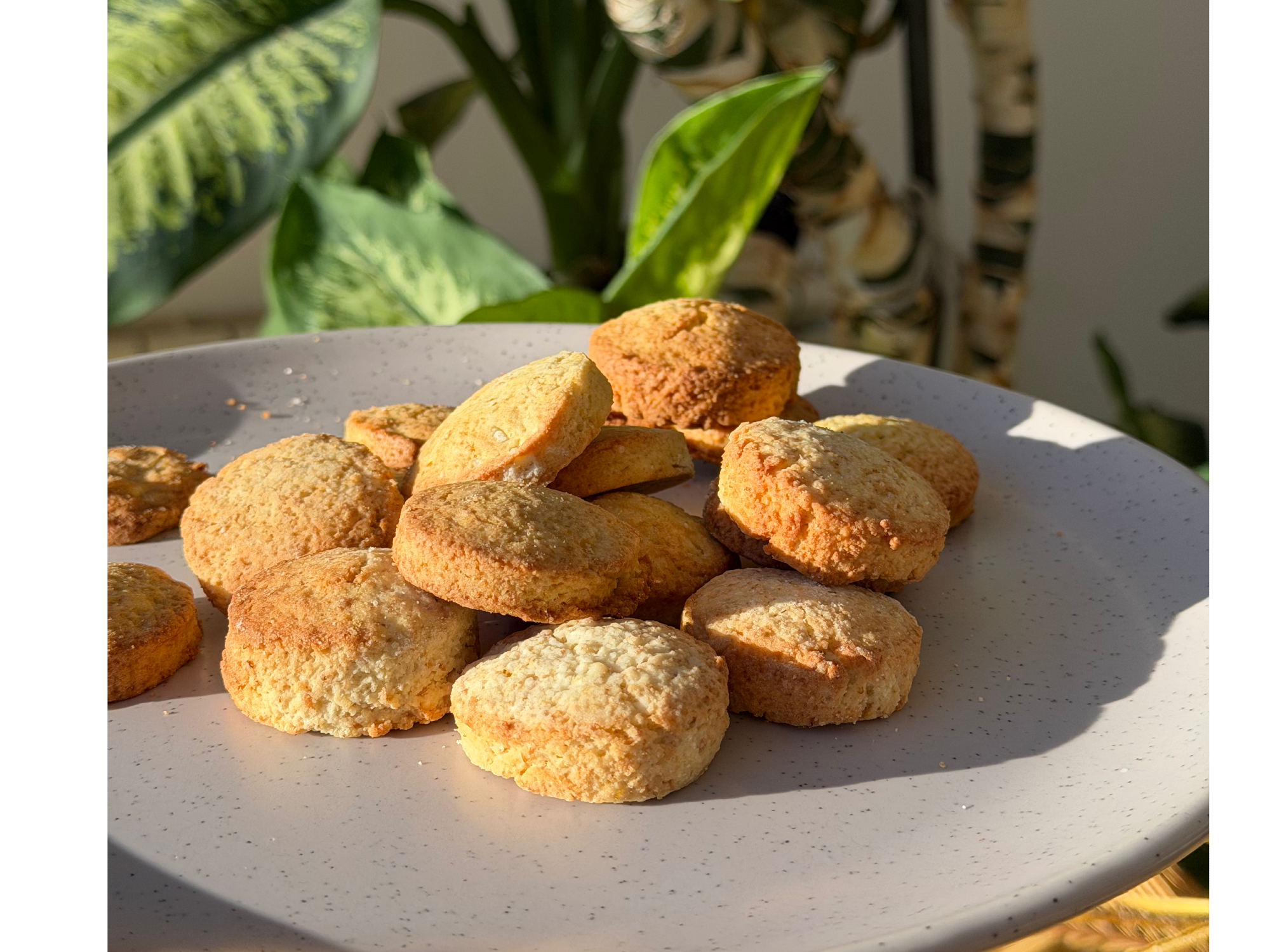 SCONES DE LIMON X1KG