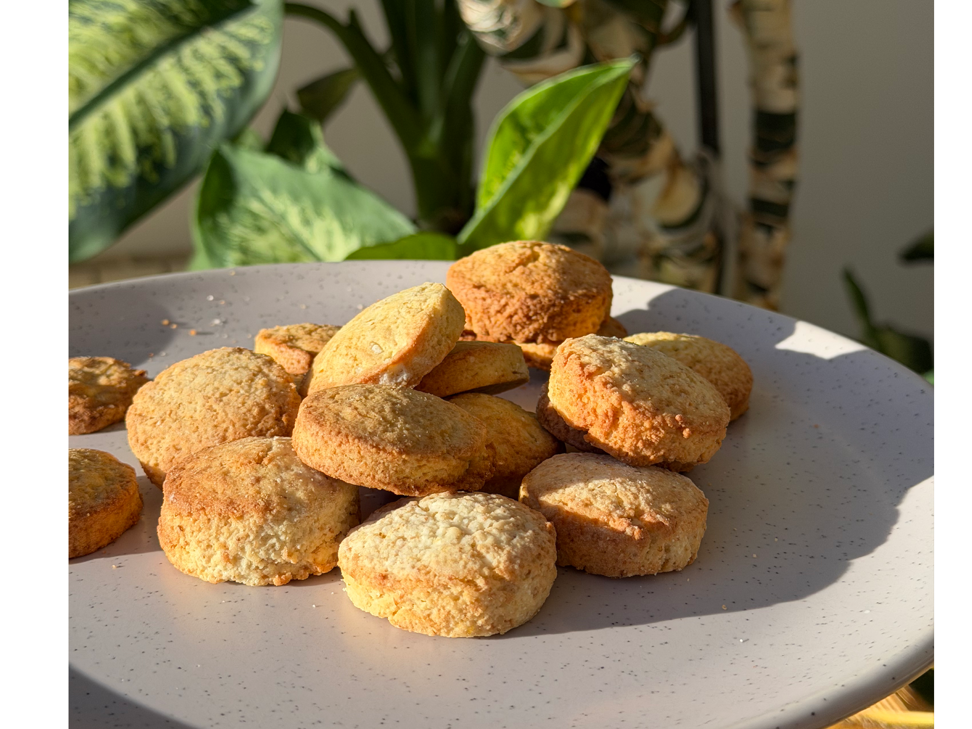 SCONES DE LIMON LOWCARB
