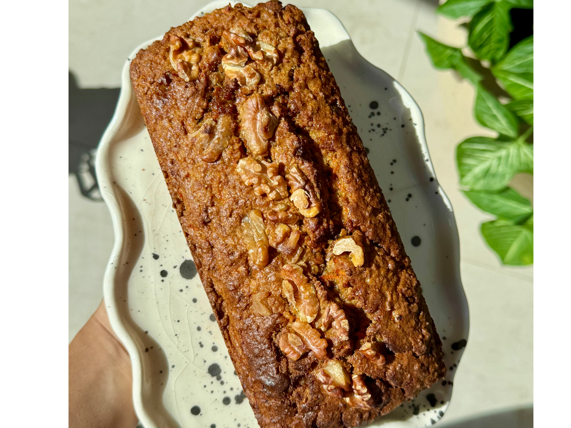 BUDIN CARROT CAKE