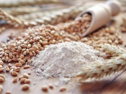 HARINA DE TRIGO INTEGRAL