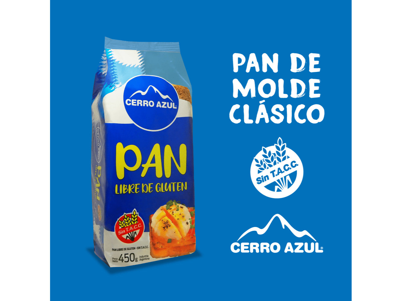 PAN DE MOLDE CERRO AZUL