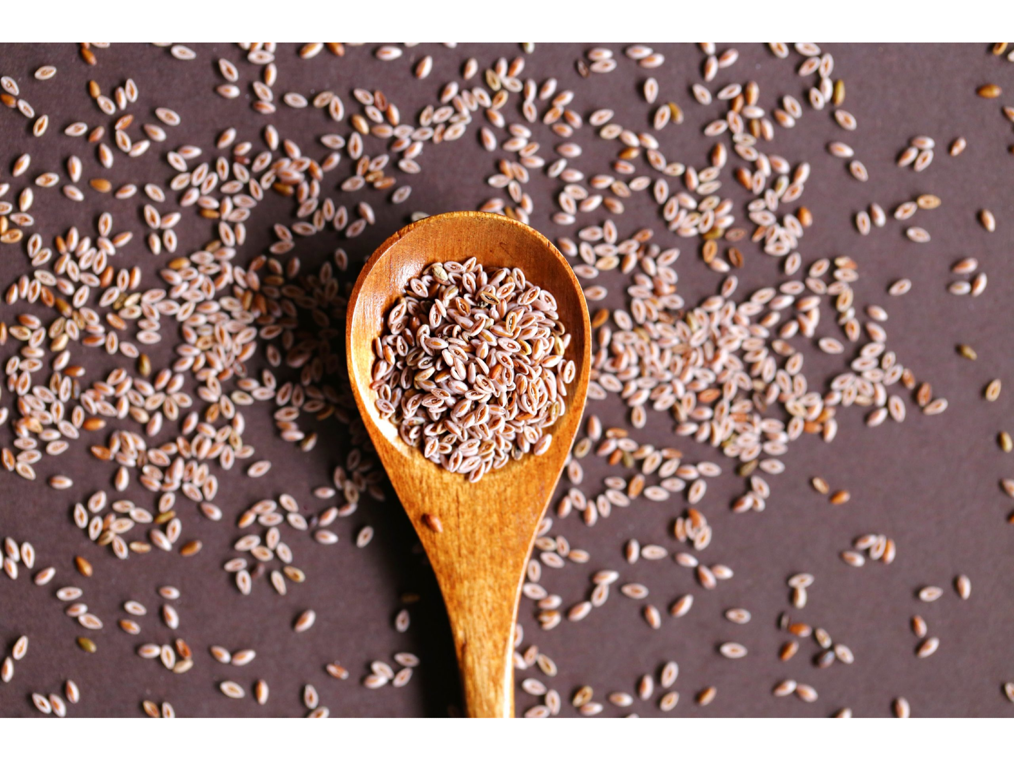 PSYLLIUM