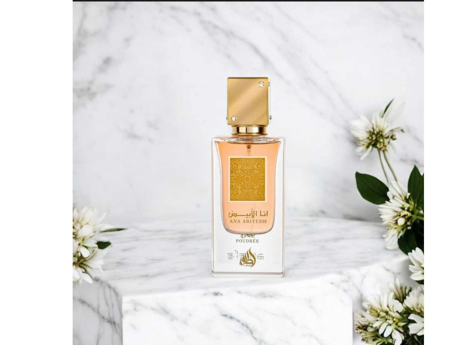 ANA ABIYEDH LATTAFA MUJER